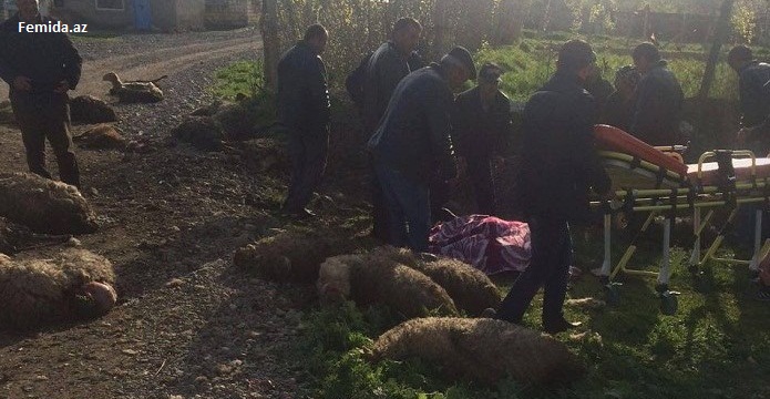 Армяне нанесли удар по гражданскому населению - ВИДЕО